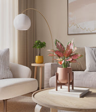 Load image into Gallery viewer, Sunset stand:one_stand