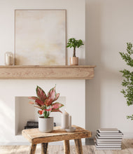 Load image into Gallery viewer, Rose Petal