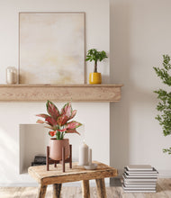 Load image into Gallery viewer, Sunset stand:one_stand