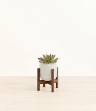 Load image into Gallery viewer, Hammered Ivory stand:walnut