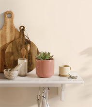Load image into Gallery viewer, Striped Rose Pink