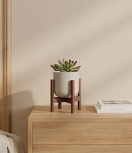 Load image into Gallery viewer, Cotton White stand:walnut