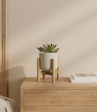 Load image into Gallery viewer, Cotton White stand:bamboo