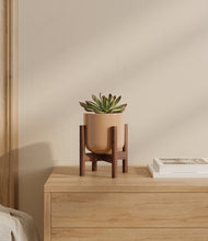 Load image into Gallery viewer, Glossy Pink stand:walnut