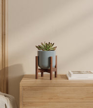 Load image into Gallery viewer, Misty Blue stand:walnut