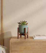 Load image into Gallery viewer, Reactive Aqua stand:walnut