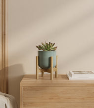 Load image into Gallery viewer, Reactive Aqua stand:bamboo