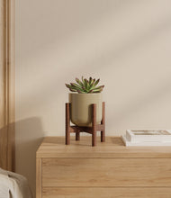 Load image into Gallery viewer, Sage Green stand:walnut