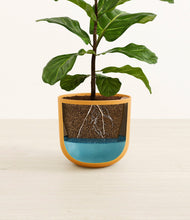 Load image into Gallery viewer, Sunset Orange