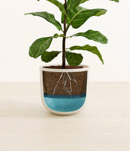 Load image into Gallery viewer, Natural Bamboo