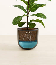 Load image into Gallery viewer, Stone Black