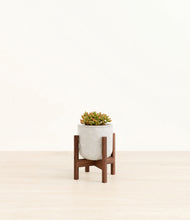 Load image into Gallery viewer, Hammered Ivory stand:walnut