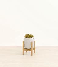 Load image into Gallery viewer, Hammered Ivory stand:bamboo