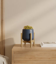 Load image into Gallery viewer, Deep Navy stand:bamboo