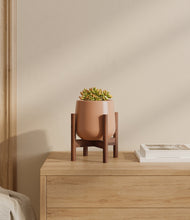 Load image into Gallery viewer, Calm Rose stand:walnut