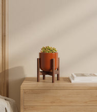 Load image into Gallery viewer, Glossy Red stand:walnut