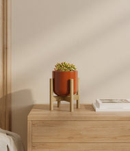 Load image into Gallery viewer, Glossy Red stand:bamboo