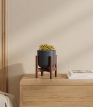 Load image into Gallery viewer, Iron Gray stand:walnut