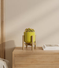 Load image into Gallery viewer, Key Lime Yellow stand:bamboo