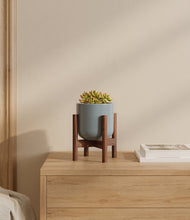 Load image into Gallery viewer, Misty Blue stand:walnut