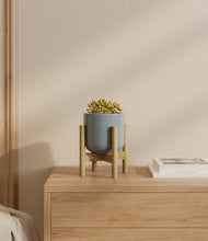 Load image into Gallery viewer, Misty Blue stand:bamboo