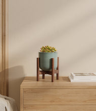 Load image into Gallery viewer, Reactive Aqua stand:walnut