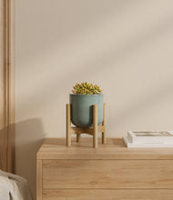 Load image into Gallery viewer, Reactive Aqua stand:bamboo