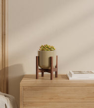 Load image into Gallery viewer, Sage Green stand:walnut