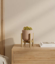 Load image into Gallery viewer, Sandy Pink stand:bamboo