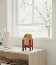 Load image into Gallery viewer, Striped Rose Pink stand:walnut