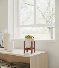 Load image into Gallery viewer, Snowdrift White stand:walnut