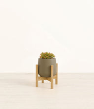 Load image into Gallery viewer, Olive stand:bamboo