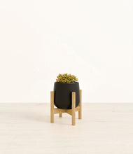 Load image into Gallery viewer, Black stand:bamboo
