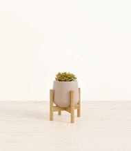 Load image into Gallery viewer, Eternal Gray stand:bamboo