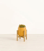 Load image into Gallery viewer, Mustard stand:bamboo