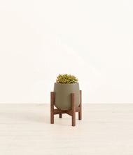 Load image into Gallery viewer, Olive stand:walnut
