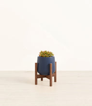 Load image into Gallery viewer, Deep Navy stand:walnut