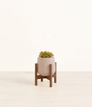 Load image into Gallery viewer, Eternal Gray stand:walnut