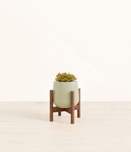 Load image into Gallery viewer, Turquoise stand:walnut