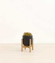 Load image into Gallery viewer, Stone Black stand:bamboo
