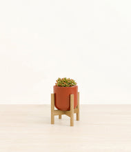 Load image into Gallery viewer, Glossy Red stand:bamboo