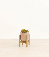 Load image into Gallery viewer, Glossy Pink stand:bamboo