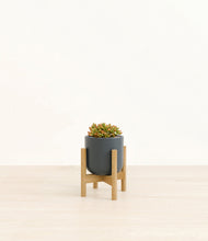 Load image into Gallery viewer, Iron Gray stand:bamboo