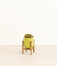 Load image into Gallery viewer, Key Lime Yellow stand:bamboo