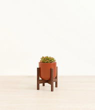Load image into Gallery viewer, Glossy Red stand:walnut