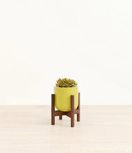 Load image into Gallery viewer, Key Lime Yellow stand:walnut