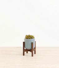 Load image into Gallery viewer, Misty Blue stand:walnut