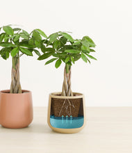 Load image into Gallery viewer, Evening Sky