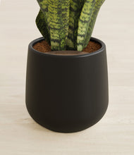 Load image into Gallery viewer, Black stand:all