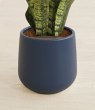 Load image into Gallery viewer, Deep Navy stand:all